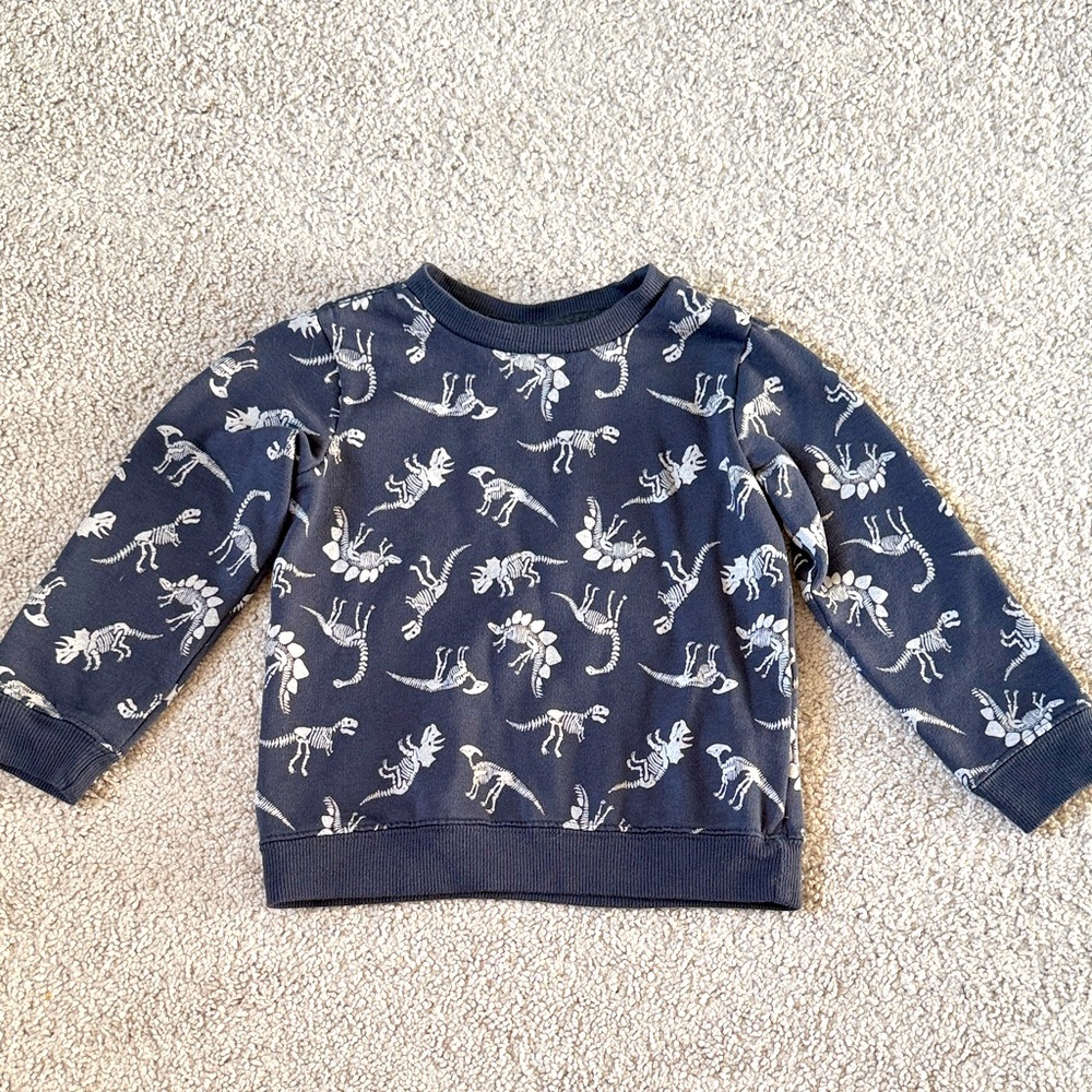 Novogratz Boys Dino Sweater. Size 4T🦖